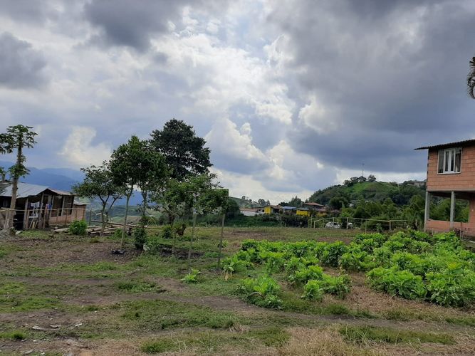 Lote en venta en Bajo Tablazo, Manizales, 5240 m² · foto 6 de 8