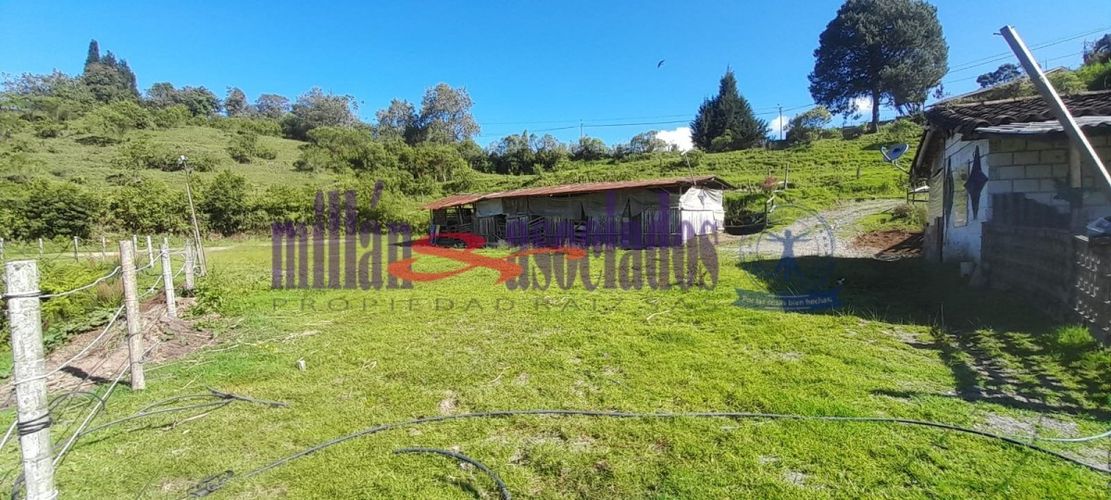 Lote en venta en Cerro De Oro, Manizales, 60 m² · foto 13 de 17