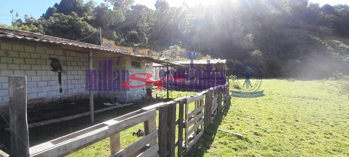 Lote en venta en Cerro De Oro, Manizales, 60 m² · foto 14 de 17