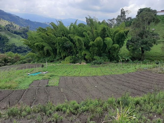 Lote en venta en Bajo Tablazo, Manizales, 5240 m² · foto 8 de 8