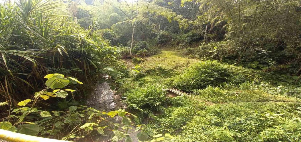 Lote en venta en La Trinidad, Manizales · foto 10 de 16