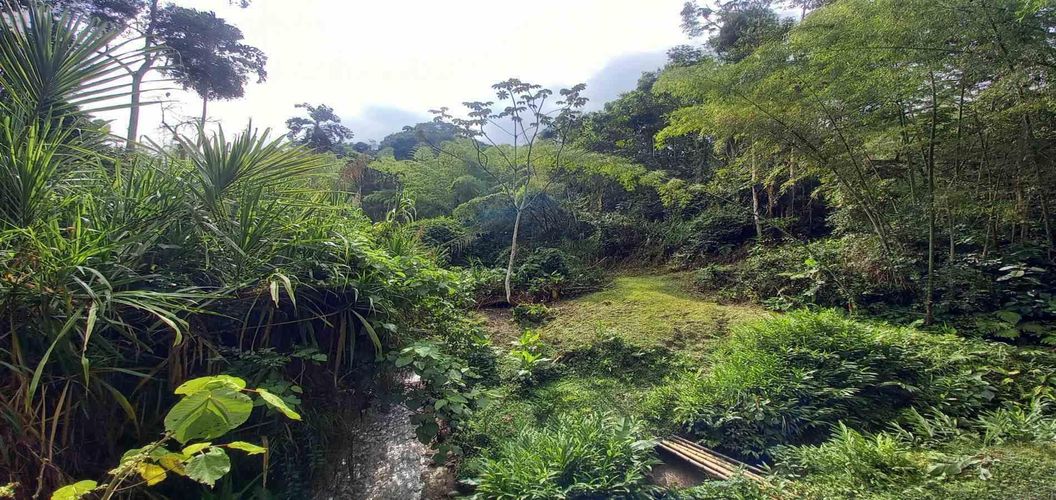 Lote en venta en La Trinidad, Manizales · foto 11 de 16