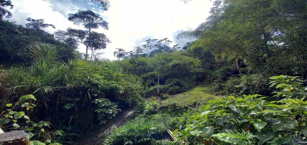 Lote en venta en La Trinidad, Manizales · foto 12 de 16