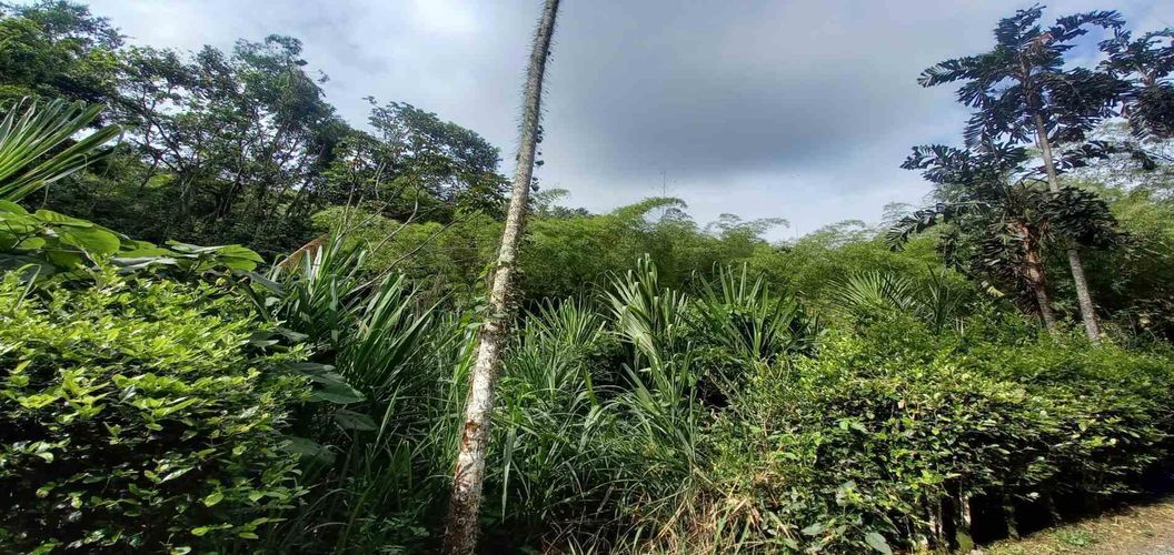 Lote en venta en La Trinidad, Manizales · foto 13 de 16