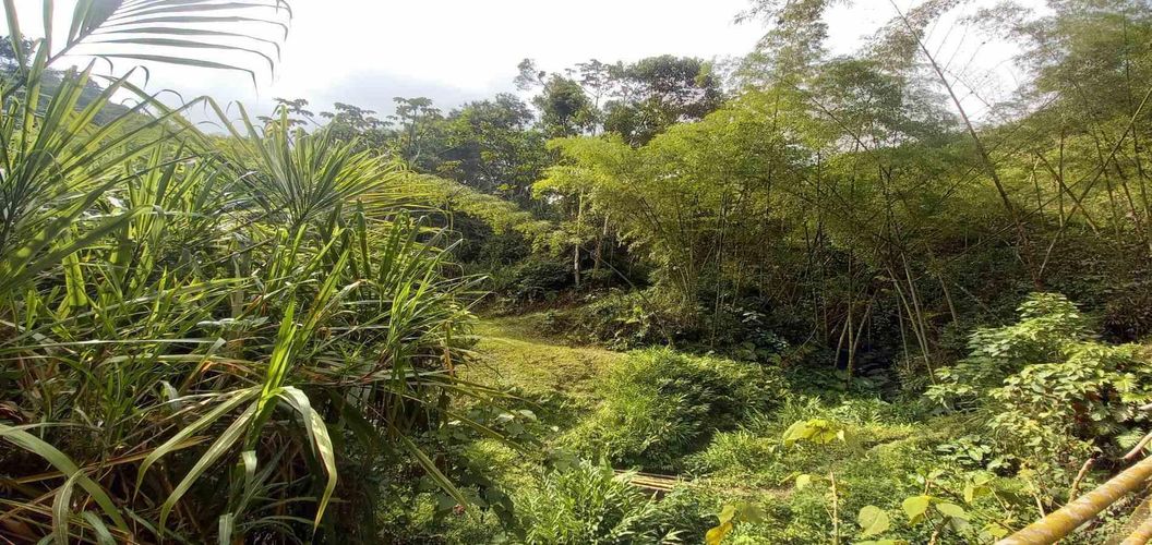 Lote en venta en La Trinidad, Manizales · foto 15 de 16