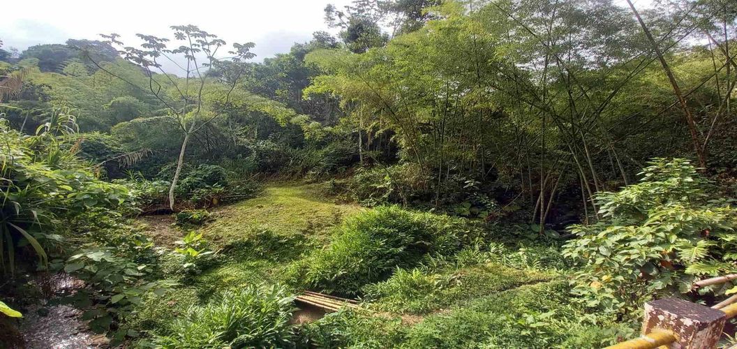 Lote en venta en La Trinidad, Manizales · foto 16 de 16