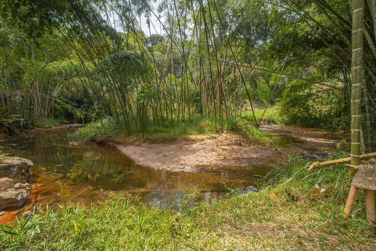Lote en venta en Morelia, Pereira, 2230 m² · foto 11 de 11