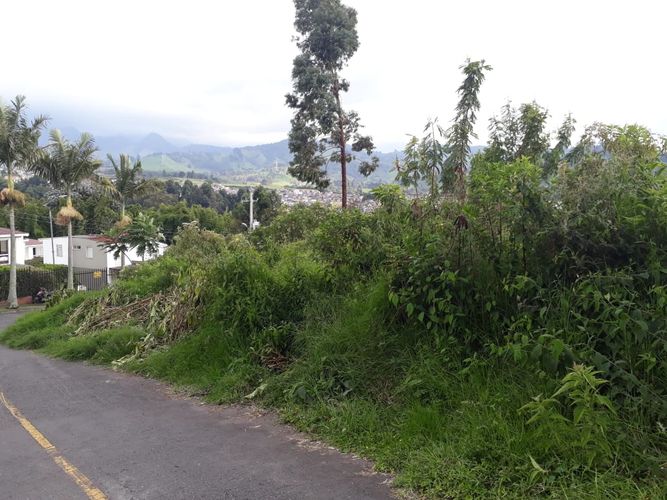Lote en venta en San Marcel, Manizales, 2235 m² · foto 3 de 7