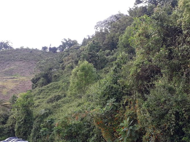 Lote en venta en San Marcel, Manizales, 2235 m² · foto 4 de 7