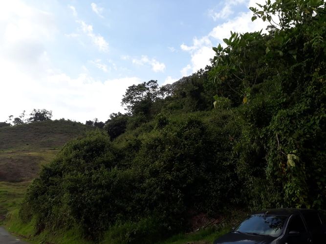 Lote en venta en San Marcel, Manizales, 2235 m² · foto 5 de 7