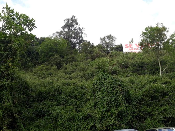 Lote en venta en San Marcel, Manizales, 2235 m² · foto 6 de 7