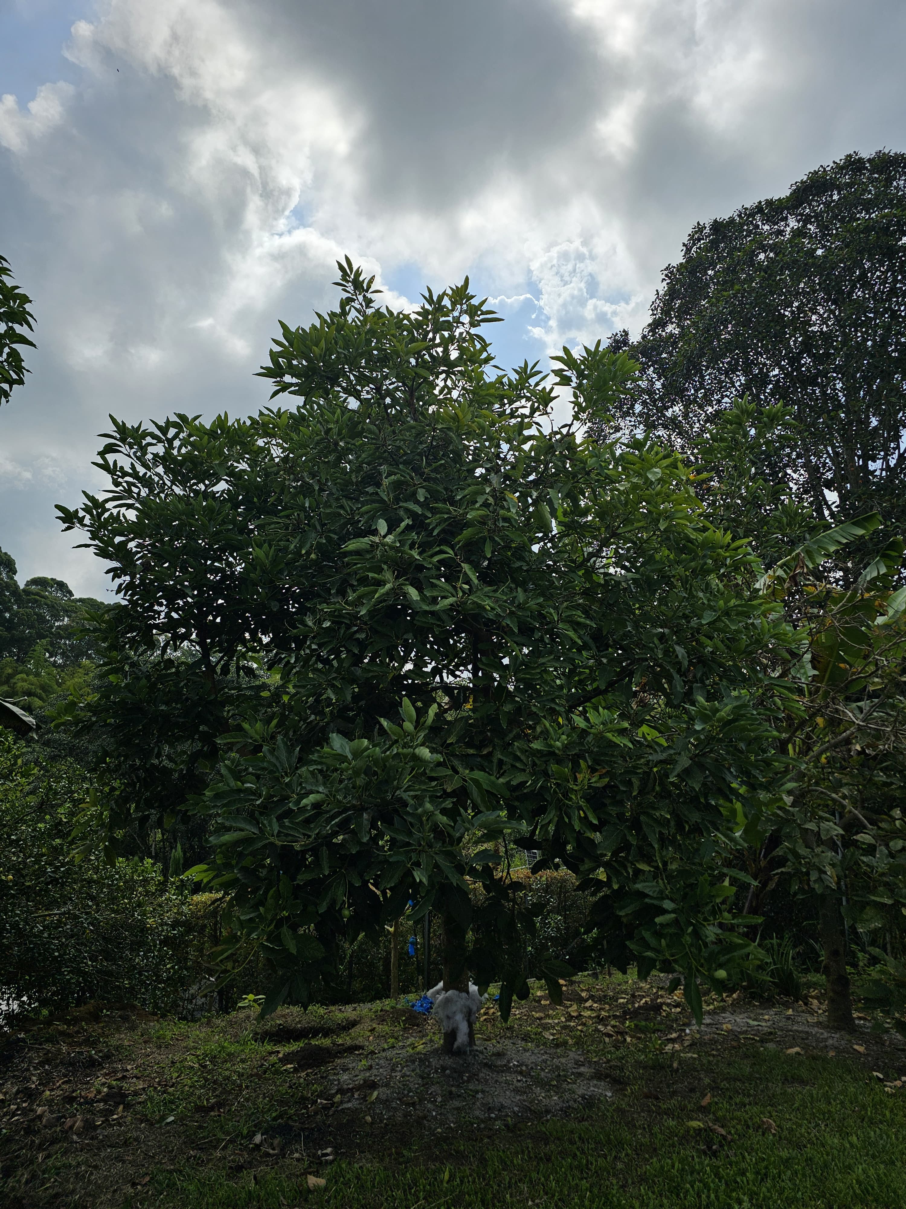 Casa en venta en Pereira, Pereira · foto 15 de 24