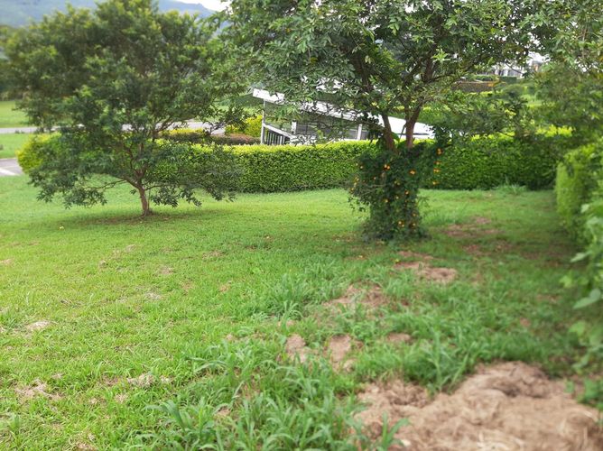 Lote en venta en Las Pavas, Manizales, 1554 m² · foto 7 de 10