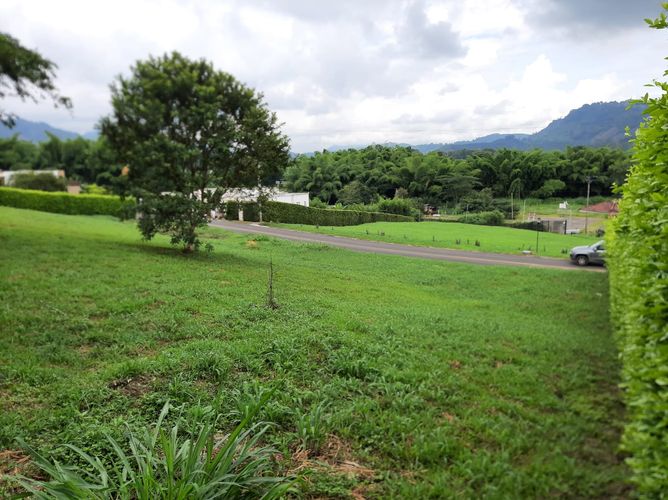 Lote en venta en Las Pavas, Manizales, 1554 m² · foto 8 de 10