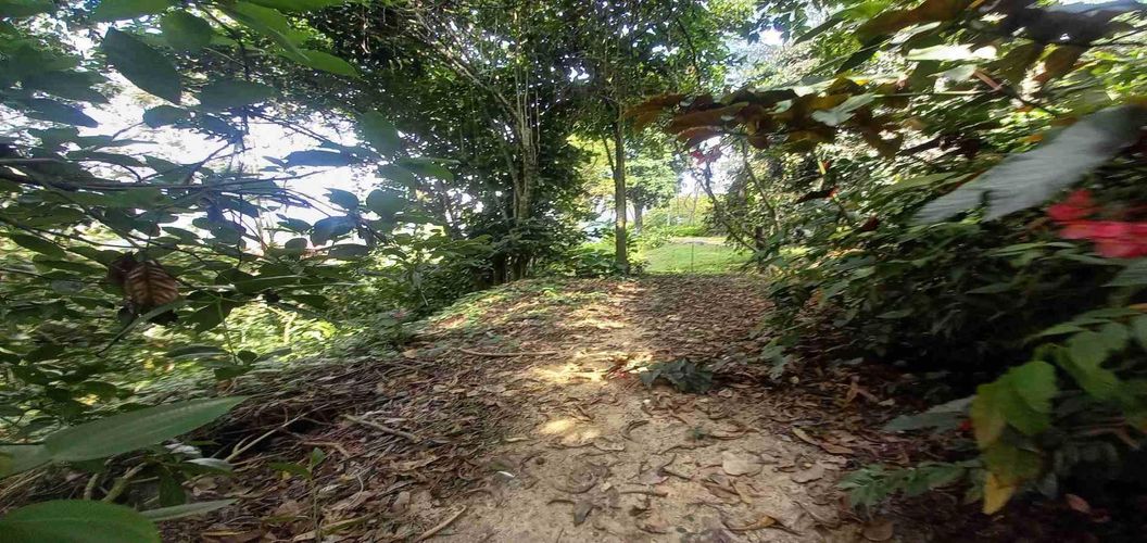 Lote en venta en San Peregrino, Manizales, 5000 m² · foto 10 de 16