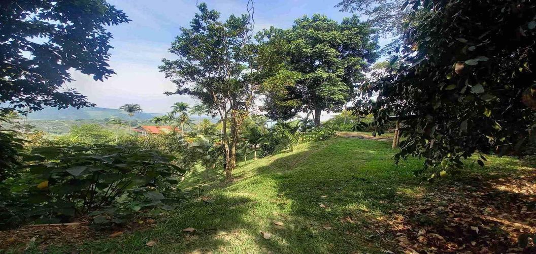 Lote en venta en San Peregrino, Manizales, 5000 m² · foto 15 de 16