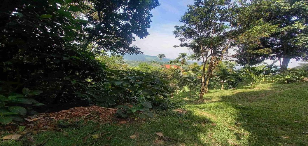 Lote en venta en San Peregrino, Manizales, 5000 m² · foto 16 de 16