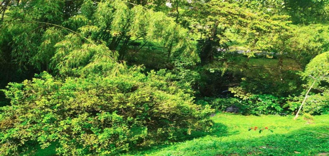 Finca en venta en Tribunas Corcega, Pereira, 500 m² · foto 20 de 24