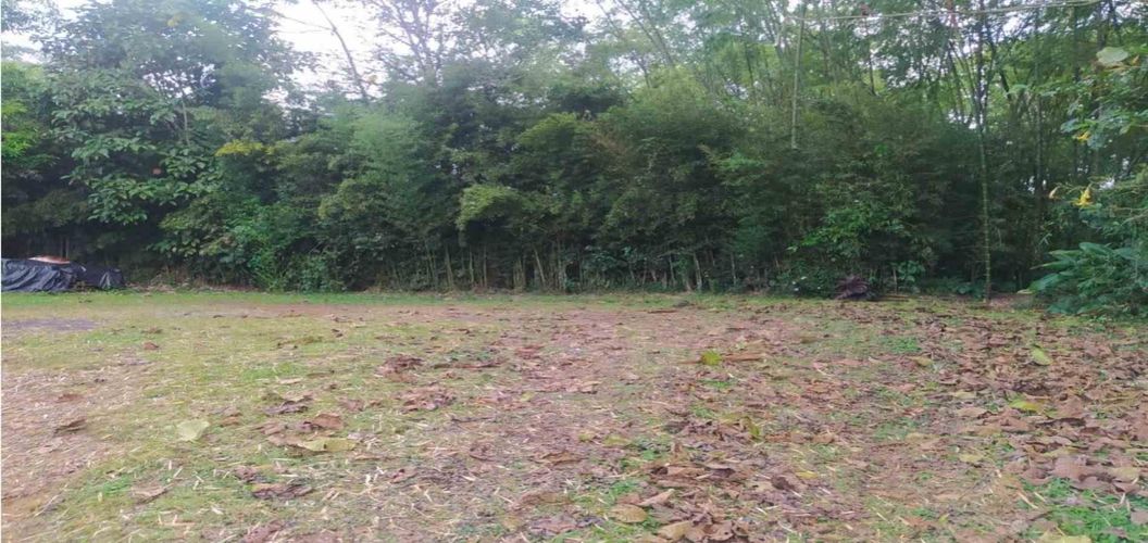 Finca en venta en Tribunas Corcega, Pereira, 500 m² · foto 23 de 24