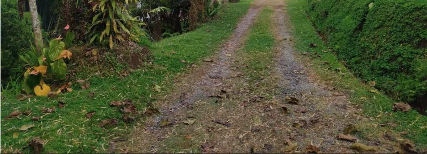 Finca en venta en Tribunas Corcega, Pereira, 500 m² · foto 24 de 24