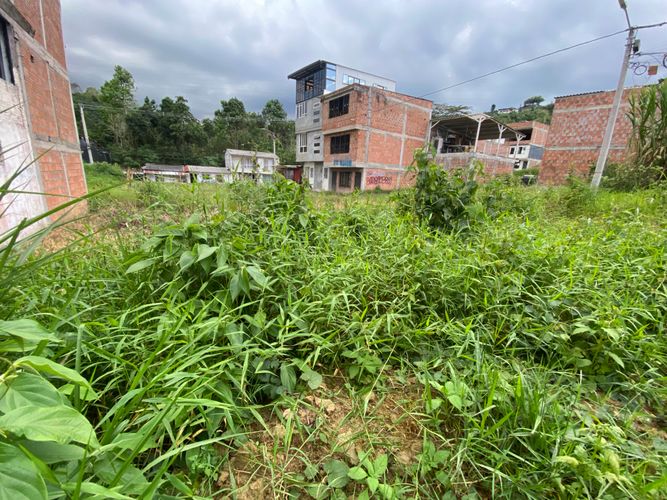 Lote en venta en Colinas Del Bosque, Dosquebradas, 50 m² · foto 7 de 9