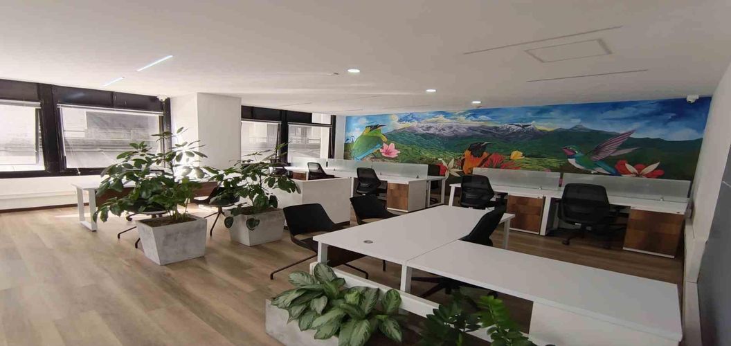 Oficina en arriendo en Los Laureles, Manizales, 11 m² · foto 12 de 15