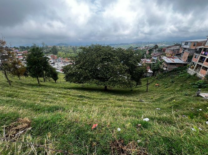 Lote en venta en Altagracia, Pereira, 3907 m² · foto 2 de 16