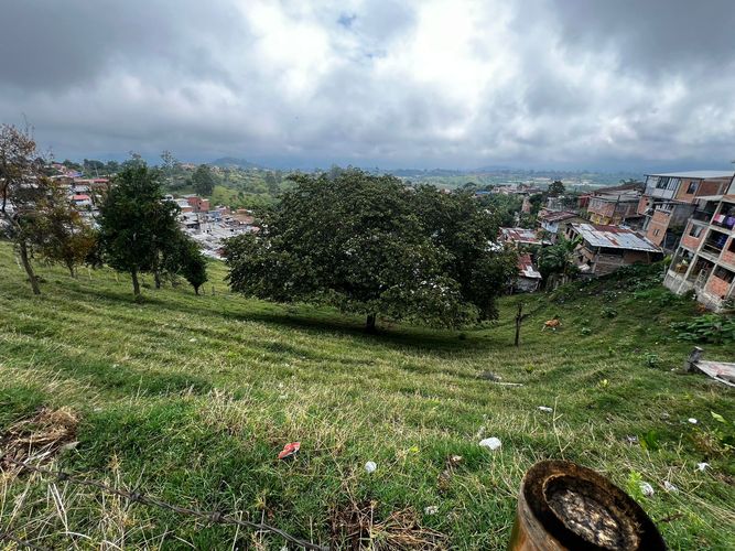 Lote en venta en Altagracia, Pereira, 3907 m² · foto 4 de 16