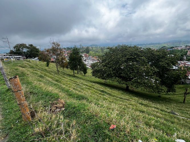 Lote en venta en Altagracia, Pereira, 3907 m² · foto 5 de 16