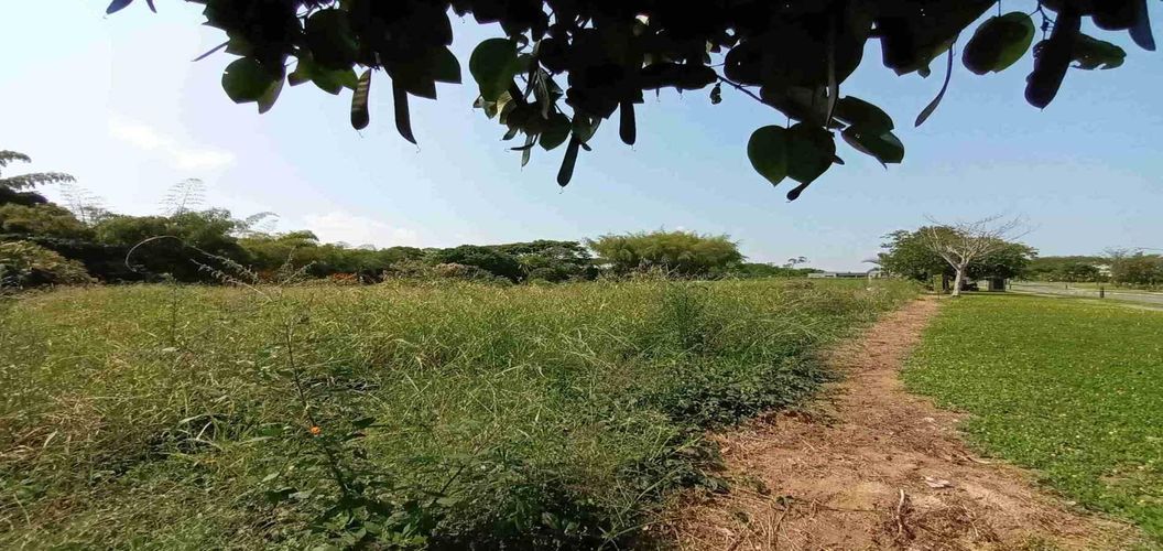 Lote en venta en Cerritos, Pereira, 3337 m² · foto 5 de 21