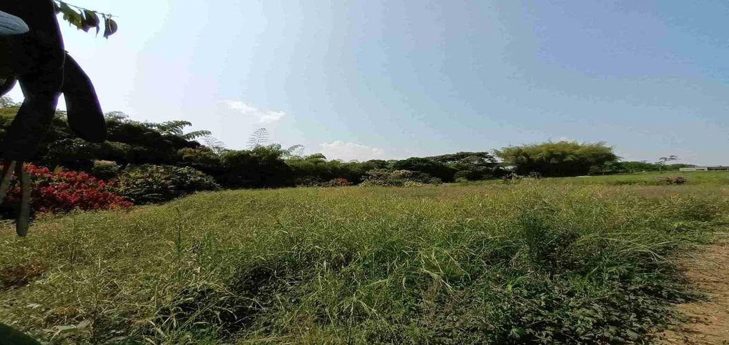 Lote en venta en Cerritos, Pereira, 3337 m² · foto 7 de 21