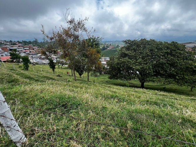 Lote en venta en Altagracia, Pereira, 3907 m² · foto 7 de 16