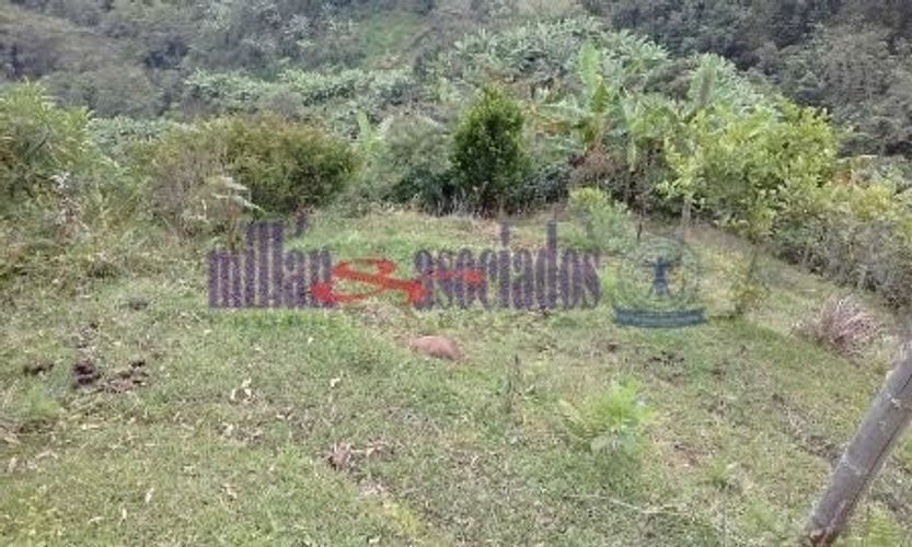 Finca en venta en La Linda, Manizales, 100 m² · foto 7 de 19