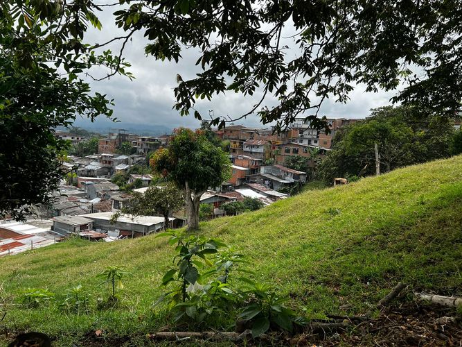 Lote en venta en Altagracia, Pereira, 3907 m² · foto 12 de 16