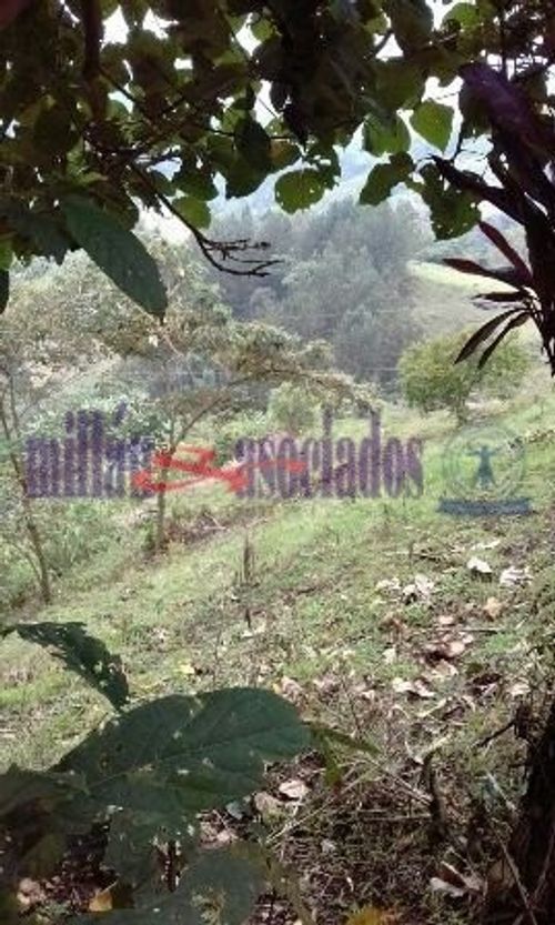 Finca en venta en La Linda, Manizales, 100 m² · foto 16 de 19