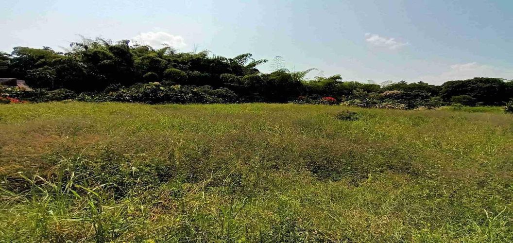 Lote en venta en Cerritos, Pereira, 3337 m² · foto 14 de 21