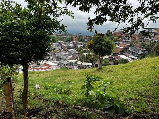 Lote en venta en Altagracia, Pereira, 3907 m² · foto 14 de 16