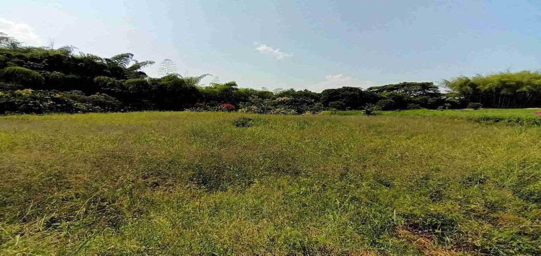 Lote en venta en Cerritos, Pereira, 3337 m² · foto 15 de 21