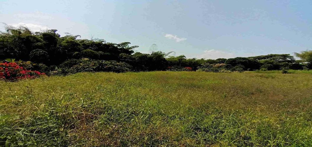 Lote en venta en Cerritos, Pereira, 3337 m² · foto 16 de 21