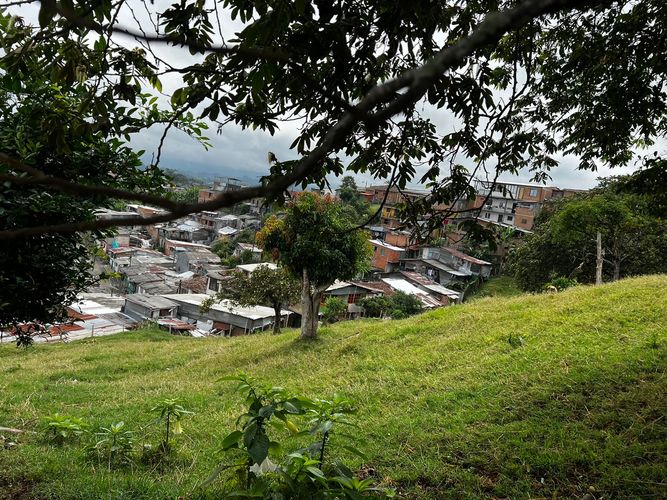 Lote en venta en Altagracia, Pereira, 3907 m² · foto 16 de 16