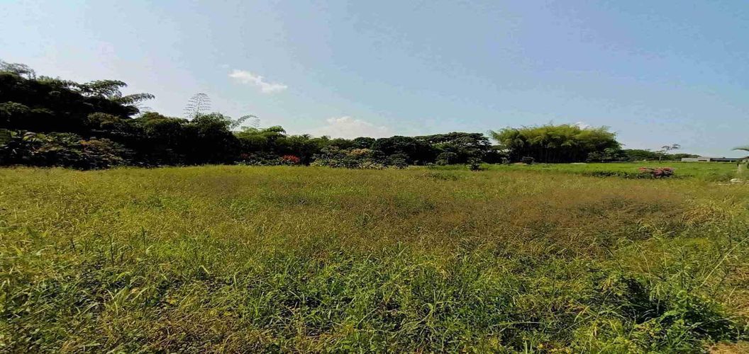 Lote en venta en Cerritos, Pereira, 3337 m² · foto 17 de 21