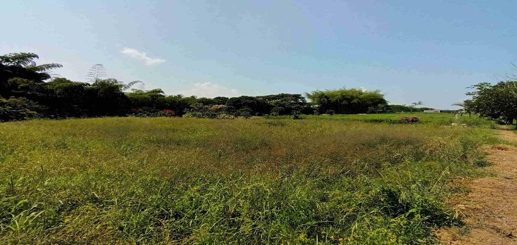 Lote en venta en Cerritos, Pereira, 3337 m² · foto 18 de 21