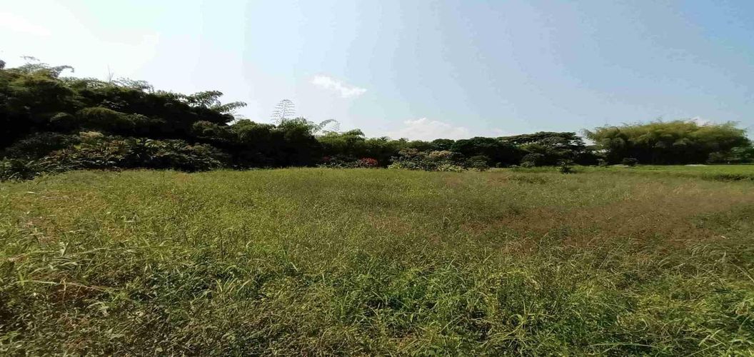 Lote en venta en Cerritos, Pereira, 3337 m² · foto 19 de 21