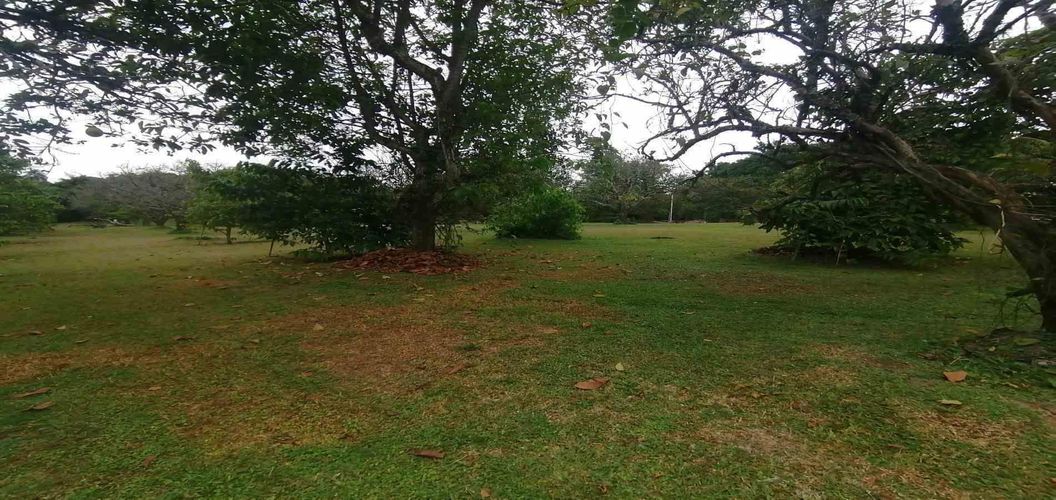 Lote en venta en Cerritos, Pereira, 300 m² · foto 2 de 24