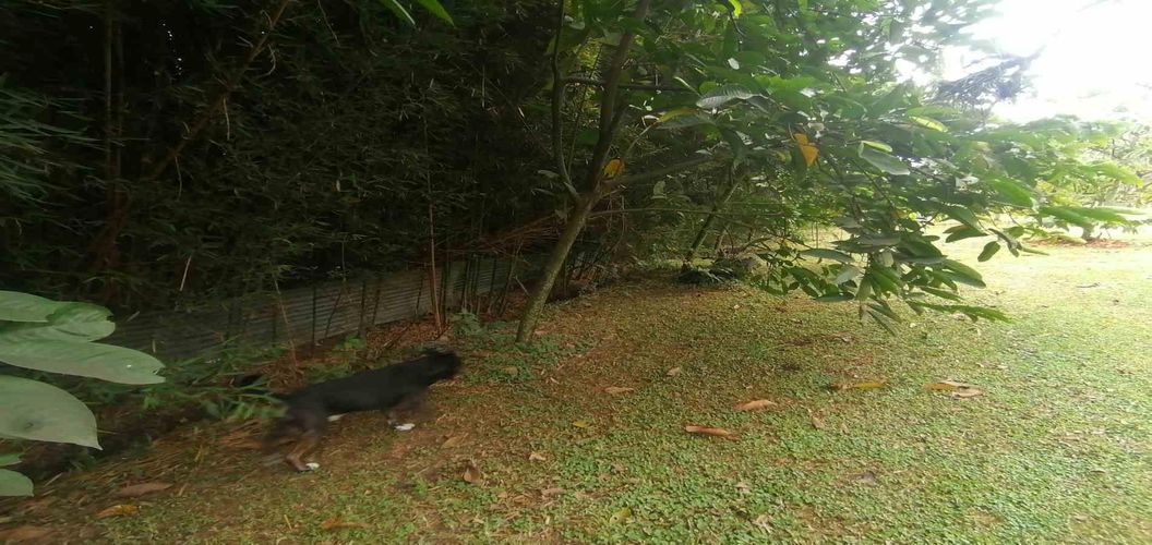 Lote en venta en Cerritos, Pereira, 300 m² · foto 3 de 24