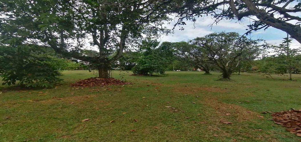Lote en venta en Cerritos, Pereira, 300 m² · foto 4 de 24