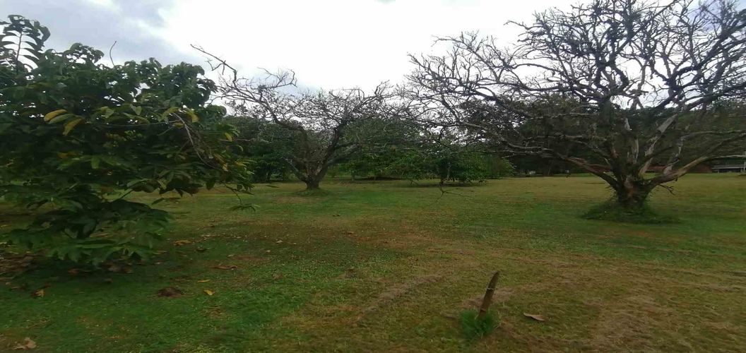 Lote en venta en Cerritos, Pereira, 300 m² · foto 5 de 24