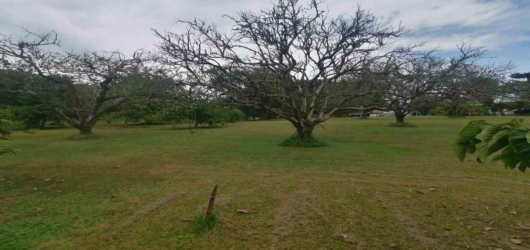Lote en venta en Cerritos, Pereira, 300 m² · foto 6 de 24