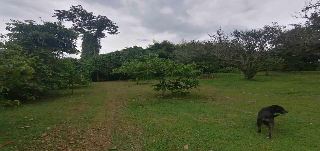 Lote en venta en Cerritos, Pereira, 300 m² · foto 7 de 24
