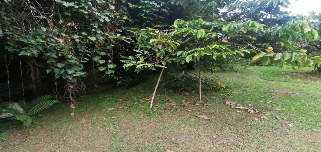 Lote en venta en Cerritos, Pereira, 300 m² · foto 8 de 24